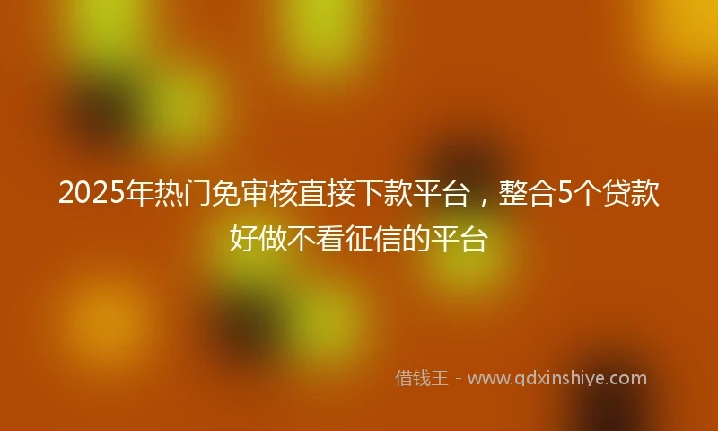 2025年热门免审核直接下款平台，整合5个贷款好做不看征信的平台