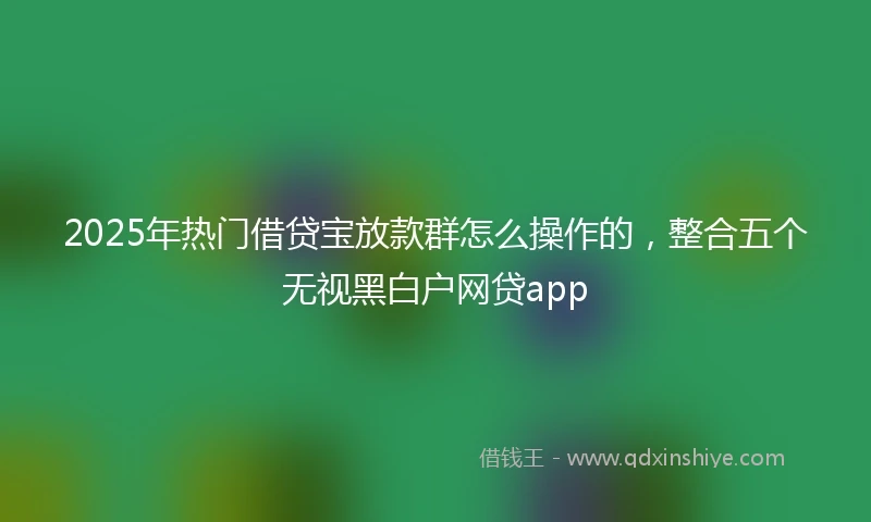 2025年热门借贷宝放款群怎么操作的，整合五个无视黑白户网贷app