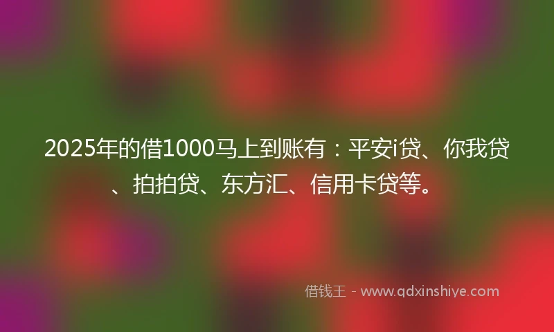 2025年的借1000马上到账有：平安i贷、你我贷、拍拍贷、东方汇、信用卡贷等。