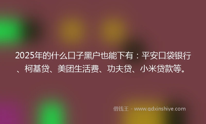 2025年的什么口子黑户也能下有：平安口袋银行、柯基贷、美团生活费、功夫贷、小米贷款等。
