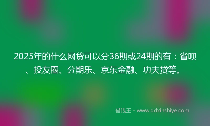 2025年的什么网贷可以分36期或24期的有：省呗、投友圈、分期乐、京东金融、功夫贷等。