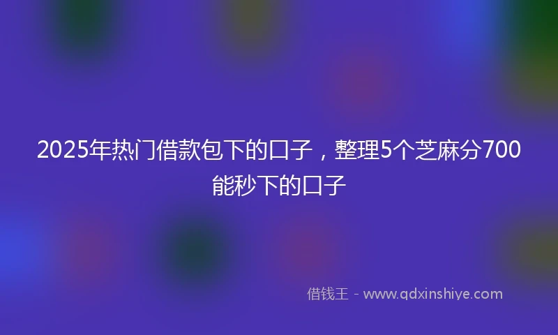 2025年热门借款包下的口子，整理5个芝麻分700能秒下的口子