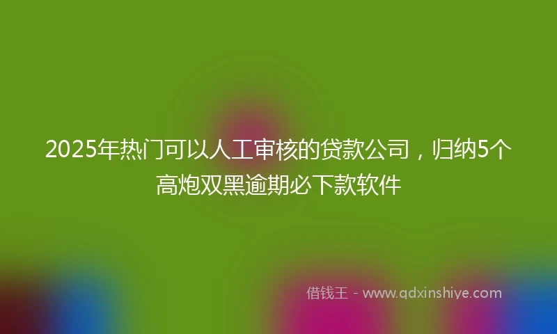 2025年热门可以人工审核的贷款公司，归纳5个高炮双黑逾期必下款软件