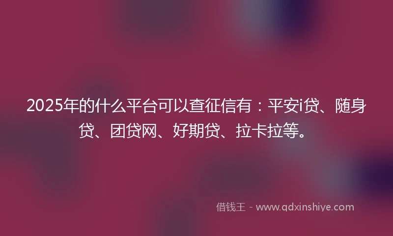2025年的什么平台可以查征信有：平安i贷、随身贷、团贷网、好期贷、拉卡拉等。