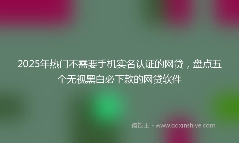 2025年热门不需要手机实名认证的网贷，盘点五个无视黑白必下款的网贷软件