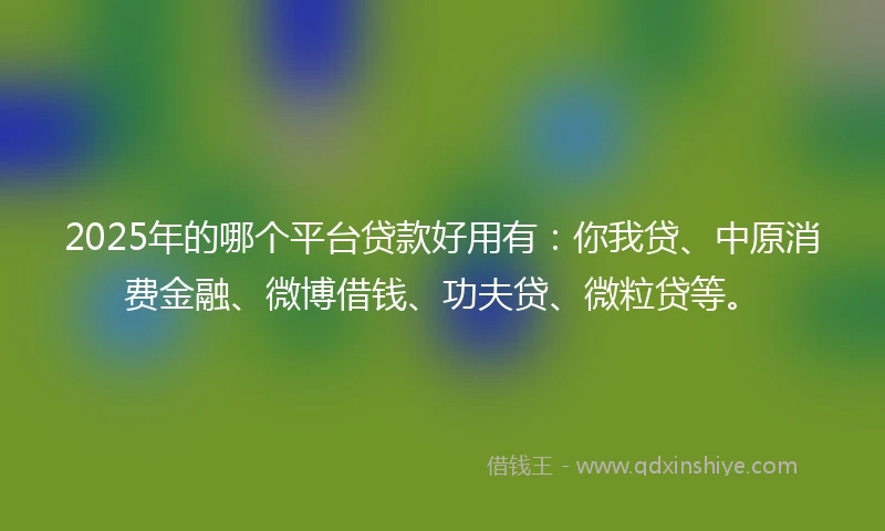 2025年的哪个平台贷款好用有:你我贷、中原消费金融、微博借钱、功夫贷、微粒贷等。