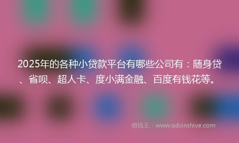 2025年的各种小贷款平台有哪些公司有：随身贷、省呗、超人卡、度小满金融、百度有钱花等。