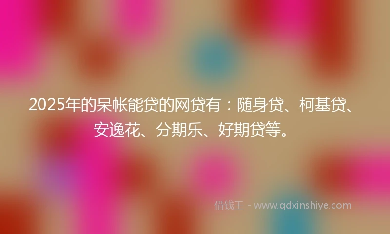 2025年的呆帐能贷的网贷有：随身贷、柯基贷、安逸花、分期乐、好期贷等。