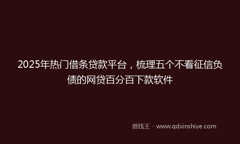 2025年热门借条贷款平台，梳理五个不看征信负债的网贷百分百下款软件