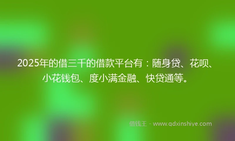 2025年的借三千的借款平台有：随身贷、花呗、小花钱包、度小满金融、快贷通等。
