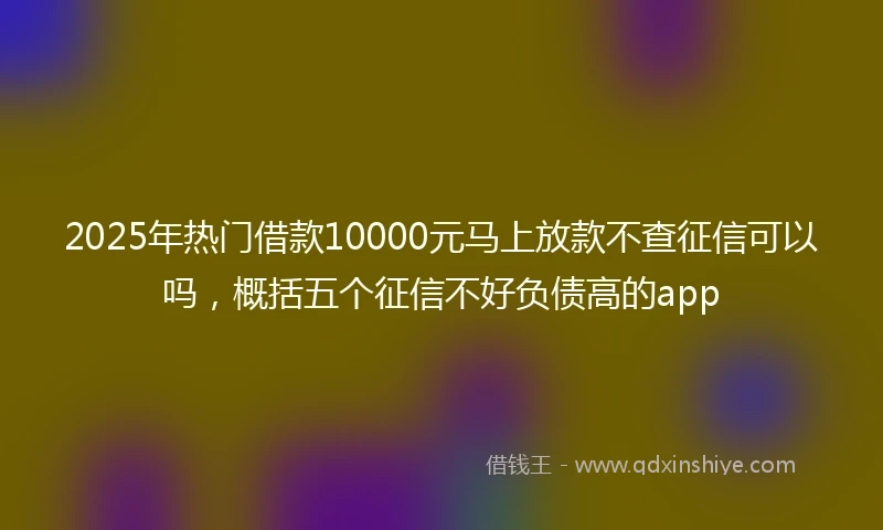2025年热门借款10000元马上放款不查征信可以吗，概括五个征信不好负债高的app