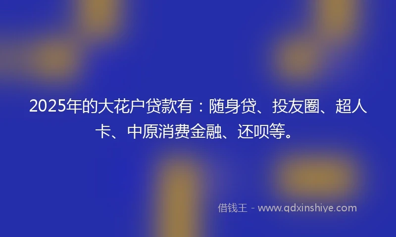 2025年的大花户贷款有：随身贷、投友圈、超人卡、中原消费金融、还呗等。