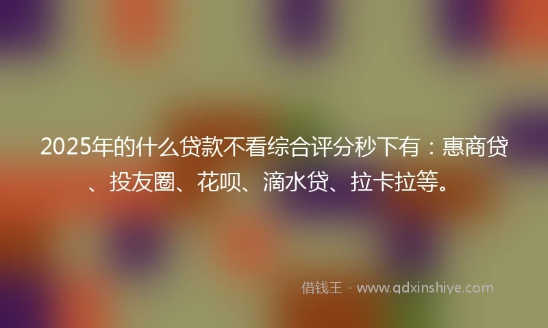 2025年的什么贷款不看综合评分秒下有：惠商贷、投友圈、花呗、滴水贷、拉卡拉等。