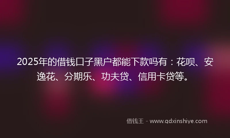 2025年的借钱口子黑户都能下款吗有：花呗、安逸花、分期乐、功夫贷、信用卡贷等。