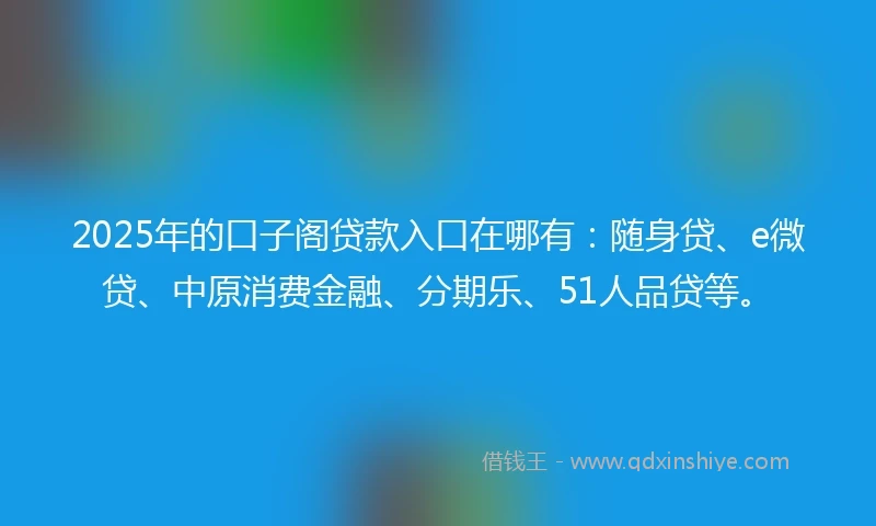 2025年的口子阁贷款入口在哪有：随身贷、e微贷、中原消费金融、分期乐、51人品贷等。