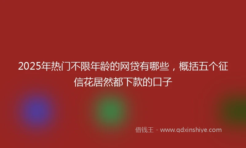 2025年热门不限年龄的网贷有哪些，概括五个征信花居然都下款的口子