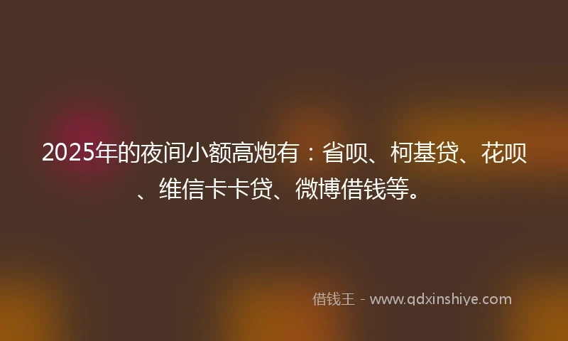 2025年的夜间小额高炮有：省呗、柯基贷、花呗、维信卡卡贷、微博借钱等。