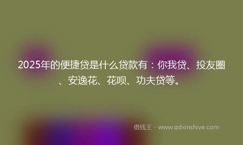 2025年的便捷贷是什么贷款有：你我贷、投友圈、安逸花、花呗、功夫贷等。