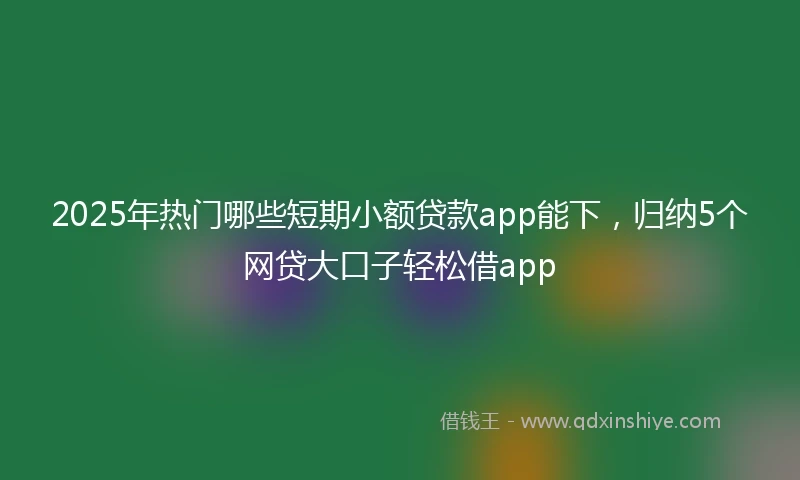 2025年热门哪些短期小额贷款app能下，归纳5个网贷大口子轻松借app