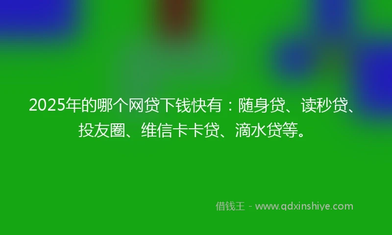 2025年的哪个网贷下钱快有：随身贷、读秒贷、投友圈、维信卡卡贷、滴水贷等。