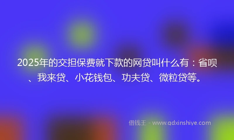 2025年的交担保费就下款的网贷叫什么有：省呗、我来贷、小花钱包、功夫贷、微粒贷等。