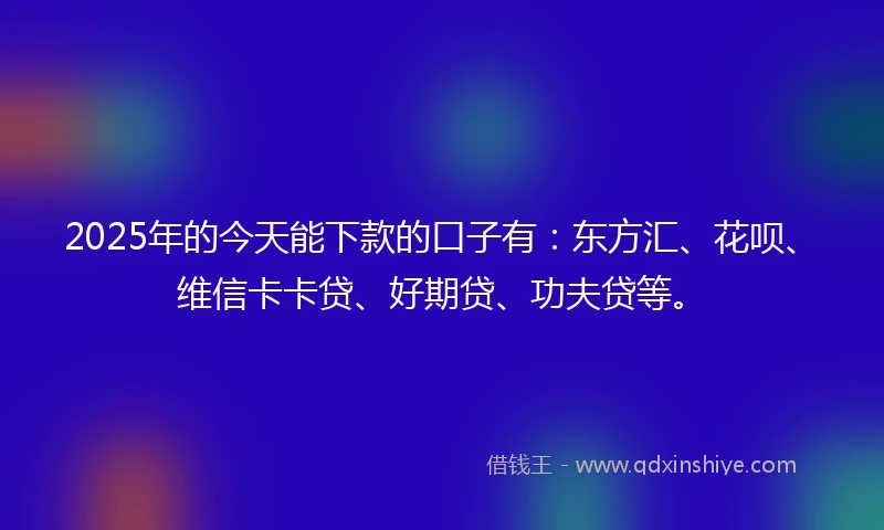 2025年的今天能下款的口子有：东方汇、花呗、维信卡卡贷、好期贷、功夫贷等。