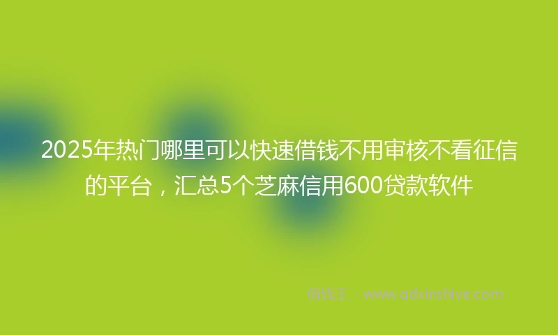2025年热门哪里可以快速借钱不用审核不看征信的平台，汇总5个芝麻信用600贷款软件
