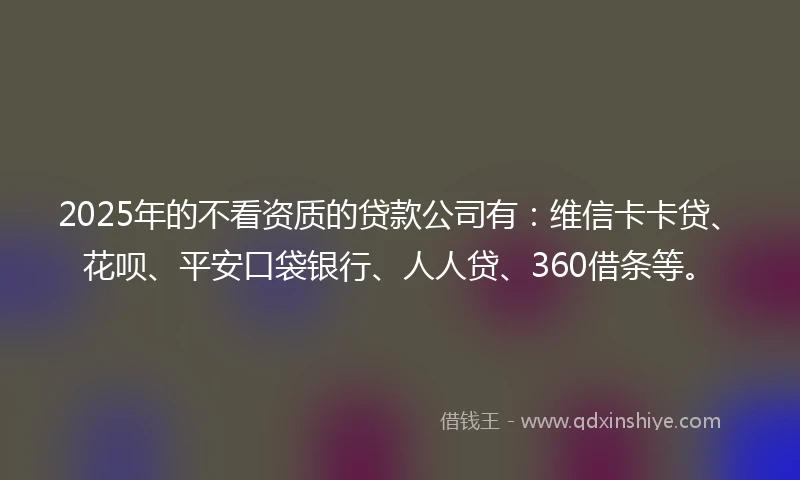 2025年的不看资质的贷款公司有：维信卡卡贷、花呗、平安口袋银行、人人贷、360借条等。
