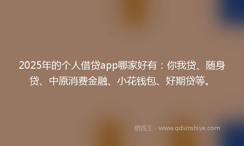 2025年的个人借贷app哪家好有：你我贷、随身贷、中原消费金融、小花钱包、好期贷等。