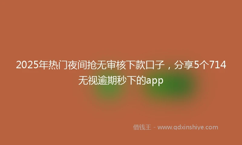 2025年热门夜间抢无审核下款口子，分享5个714无视逾期秒下的app