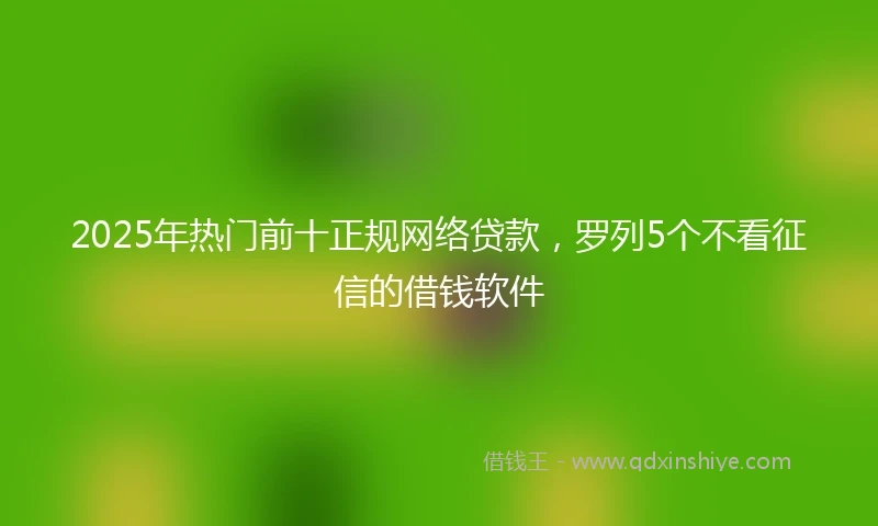 2025年热门前十正规网络贷款，罗列5个不看征信的借钱软件