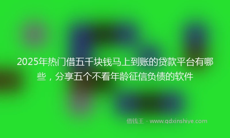 2025年热门借五千块钱马上到账的贷款平台有哪些，分享五个不看年龄征信负债的软件