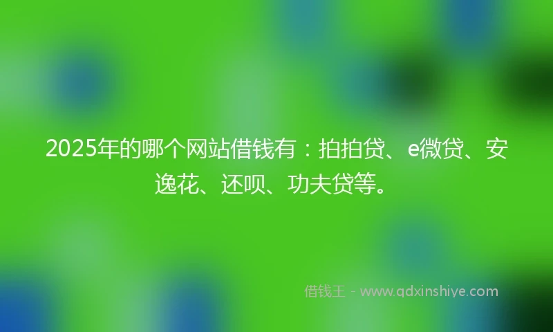 2025年的哪个网站借钱有：拍拍贷、e微贷、安逸花、还呗、功夫贷等。