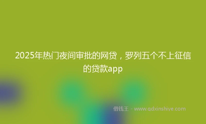 2025年热门夜间审批的网贷，罗列五个不上征信的贷款app
