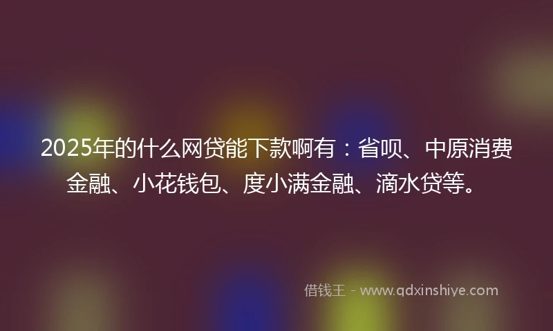 2025年的什么网贷能下款啊有：省呗、中原消费金融、小花钱包、度小满金融、滴水贷等。