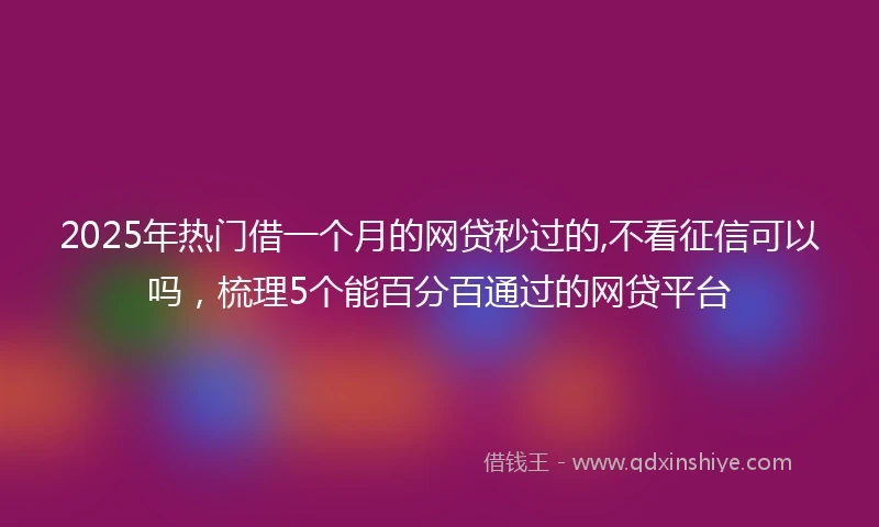 2025年热门借一个月的网贷秒过的,不看征信可以吗，梳理5个能百分百通过的网贷平台