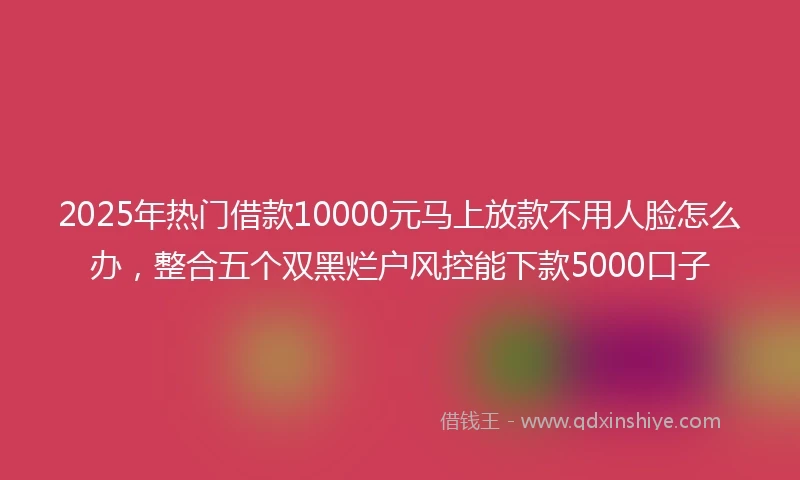 2025年热门借款10000元马上放款不用人脸怎么办，整合五个双黑烂户风控能下款5000口子