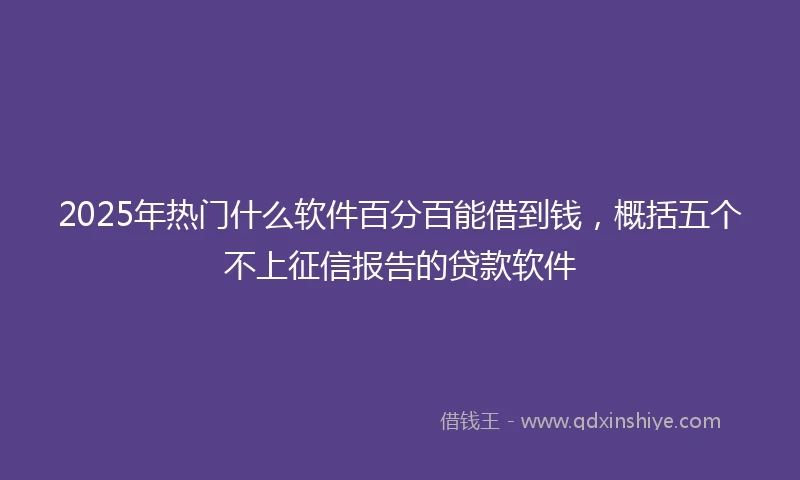 2025年热门什么软件百分百能借到钱，概括五个不上征信报告的贷款软件