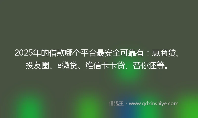 2025年的借款哪个平台最安全可靠有：惠商贷、投友圈、e微贷、维信卡卡贷、替你还等。