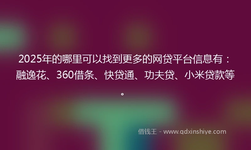 2025年的哪里可以找到更多的网贷平台信息有：融逸花、360借条、快贷通、功夫贷、小米贷款等。