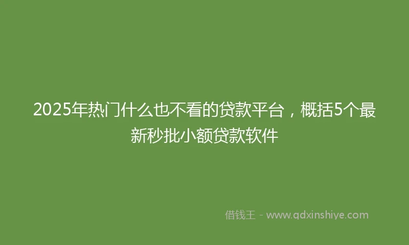 2025年热门什么也不看的贷款平台，概括5个最新秒批小额贷款软件
