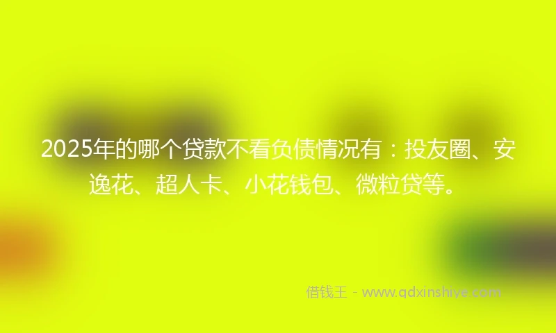 2025年的哪个贷款不看负债情况有：投友圈、安逸花、超人卡、小花钱包、微粒贷等。