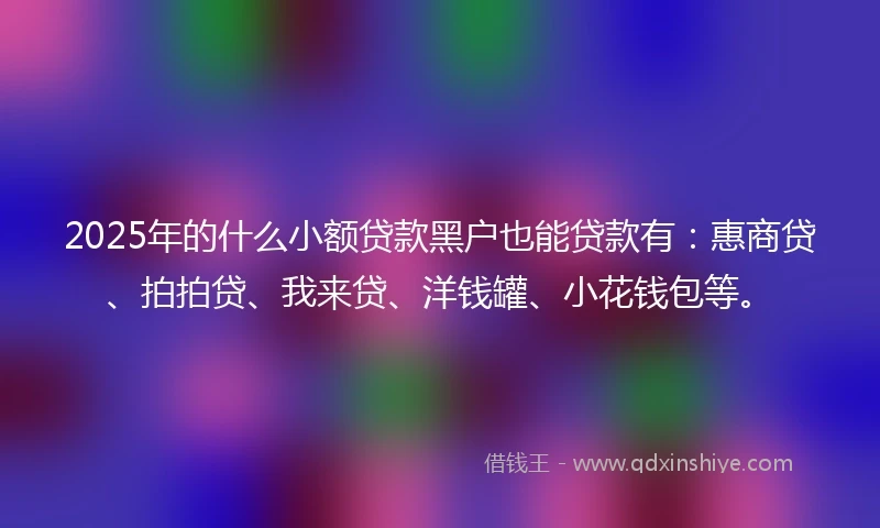 2025年的什么小额贷款黑户也能贷款有：惠商贷、拍拍贷、我来贷、洋钱罐、小花钱包等。
