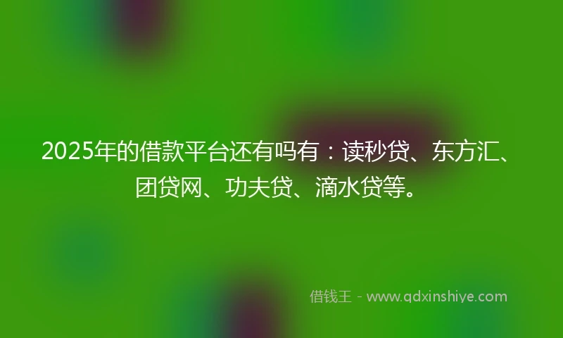 2025年的借款平台还有吗有：读秒贷、东方汇、团贷网、功夫贷、滴水贷等。
