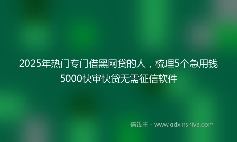2025年热门专门借黑网贷的人,梳理5个急用钱5000快审快贷无需征信软件