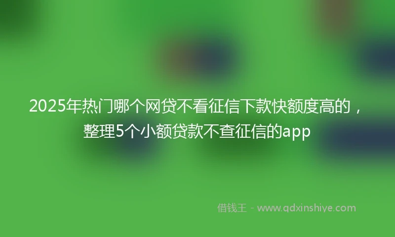 2025年热门哪个网贷不看征信下款快额度高的,整理5个小额贷款不查征信的app