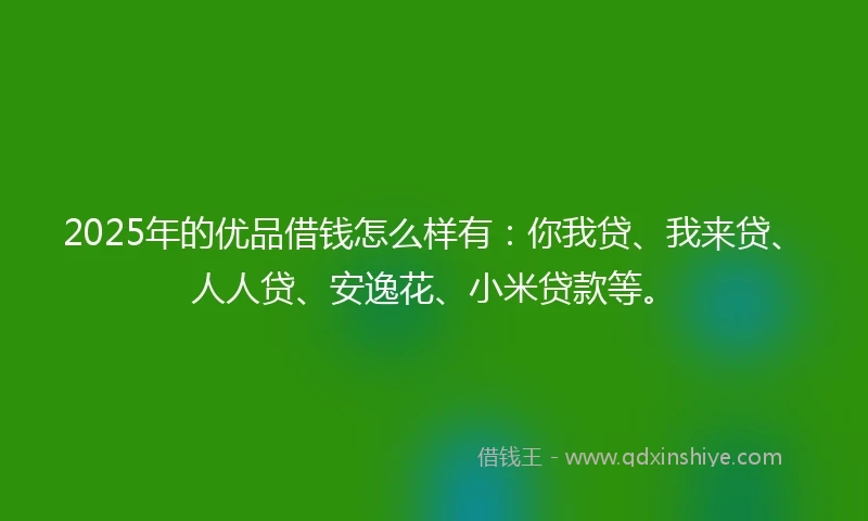 2025年的优品借钱怎么样有：你我贷、我来贷、人人贷、安逸花、小米贷款等。