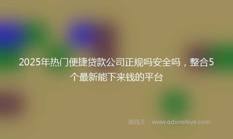 2025年热门便捷贷款公司正规吗安全吗，整合5个最新能下来钱的平台