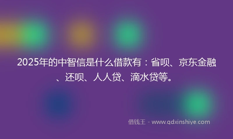 2025年的中智信是什么借款有：省呗、京东金融、还呗、人人贷、滴水贷等。