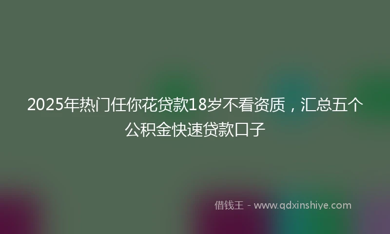 2025年热门任你花贷款18岁不看资质，汇总五个公积金快速贷款口子